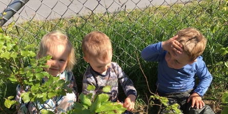 Kuk-kuk kan I finde os?