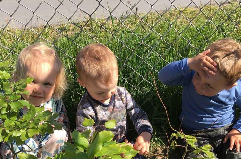 Kuk-kuk kan I finde os?